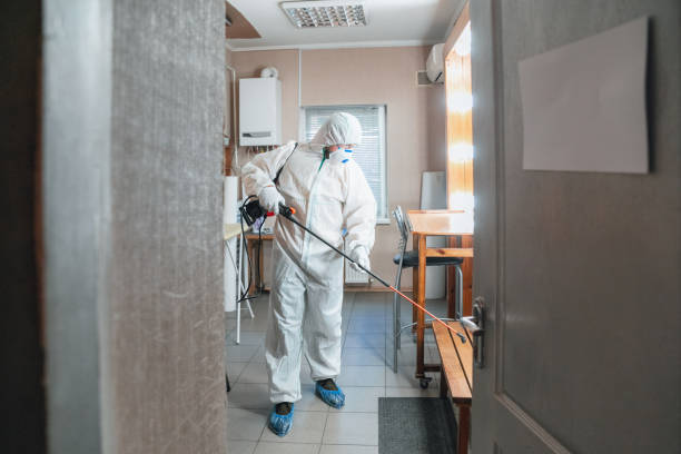 Best Mold Prevention Services  in Williamsport, IN